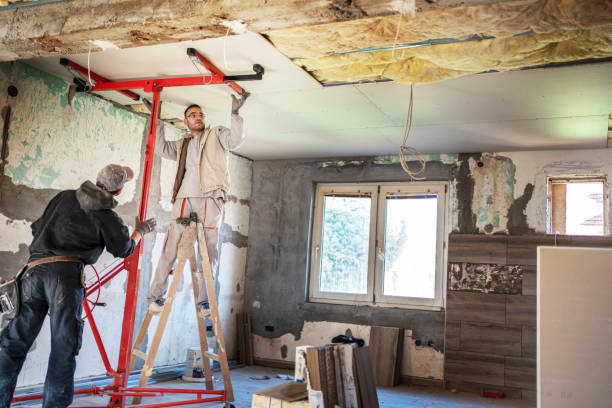 Best Insulation Maintenance and Repair in Coppell, TX
